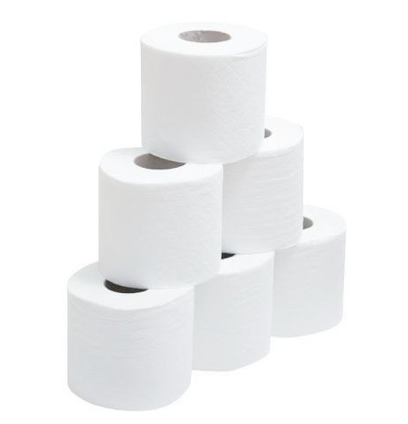 PAPEL HIGIENICO TIPO CASA